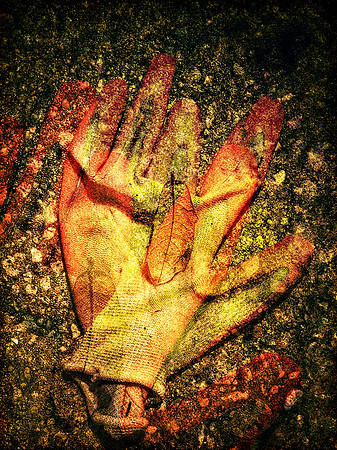 The Glove I