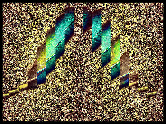 Staccato Feathers I