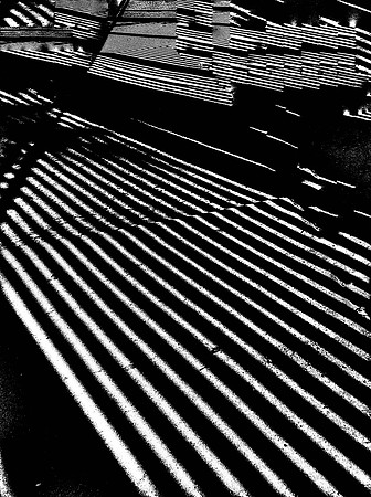 Graphique ~ Film Noir