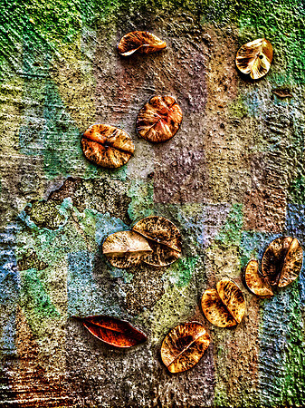 A Gatheing of Golden Leaves (The Eleven)