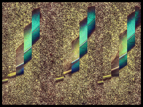 Staccato Feathers III