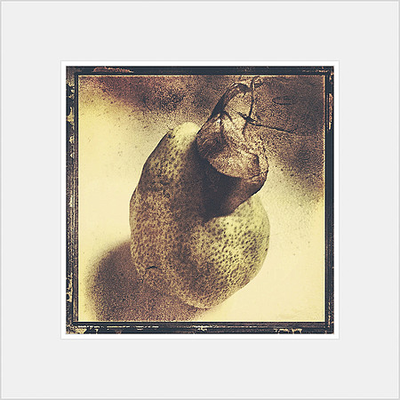 Pyrus