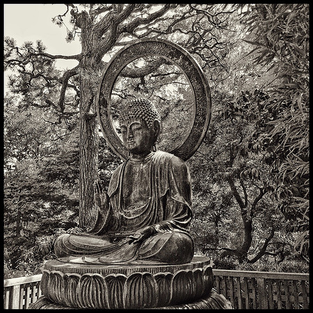 Buddha ~ Japanese Tea Garden San Francisco
