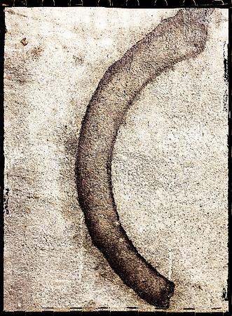 Stain ~ After Penn